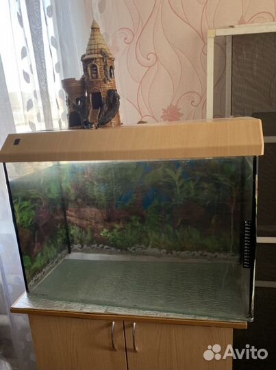 Аквариум