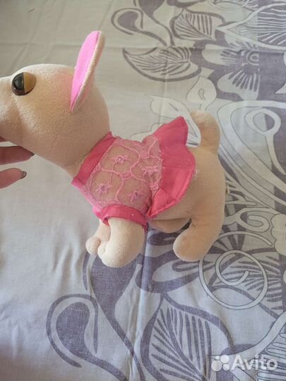 Чичилав собачка лает