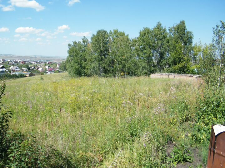 Участок 16 сот. (СНТ, ДНП)