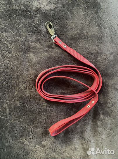 Шлейка, поводок, ошейник