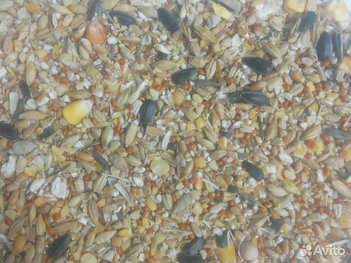 Зерносмесь дробленая для С/Х животных С/Х Птиц
