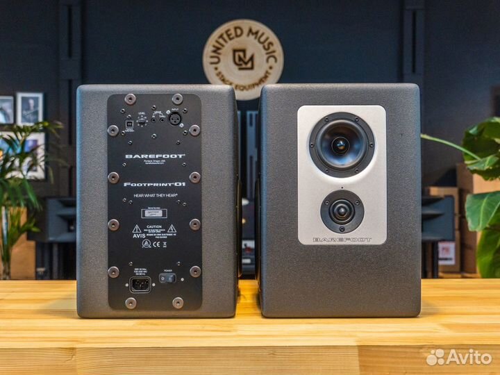 Barefoot Footprint 01 пара мониторов