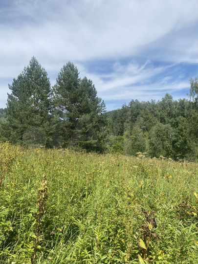 Участок 13,5 га (СНТ, ДНП)