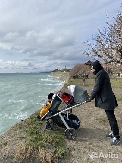 Коляска для погодок и двойни uppababy vista