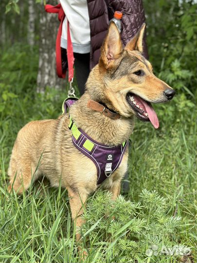 Красивая девочка в 