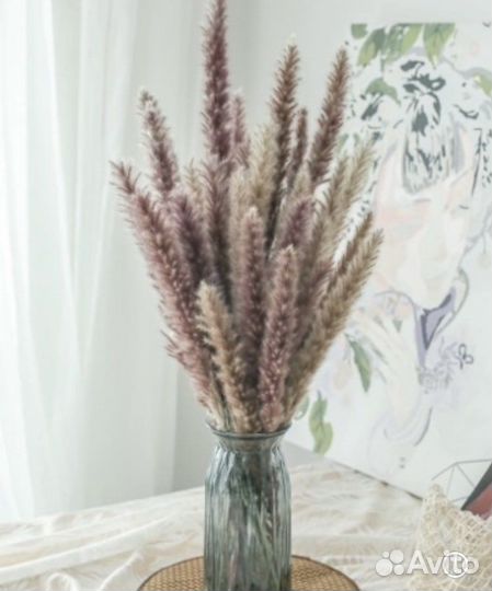 Пампасная трава/мискантус сухоцветы