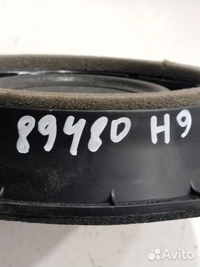 Динамик двери (Haval H9)