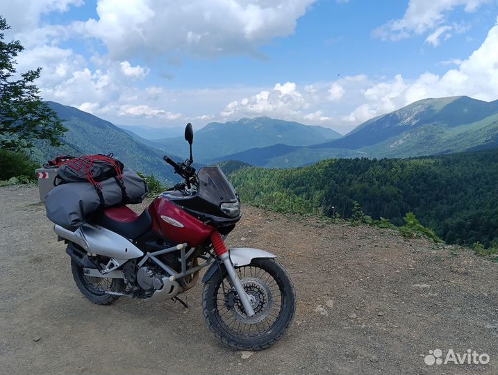 Suzuki XF 650 Freewind