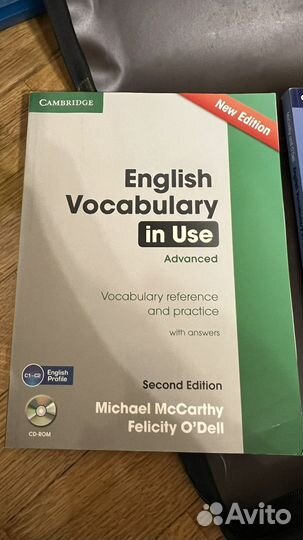 English vocabulary in use