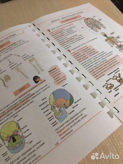 Учебник для подготовки к егэ и огэ по биологии