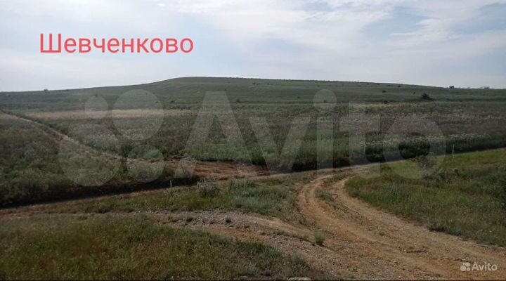 Участок 50 сот. (СНТ, ДНП)