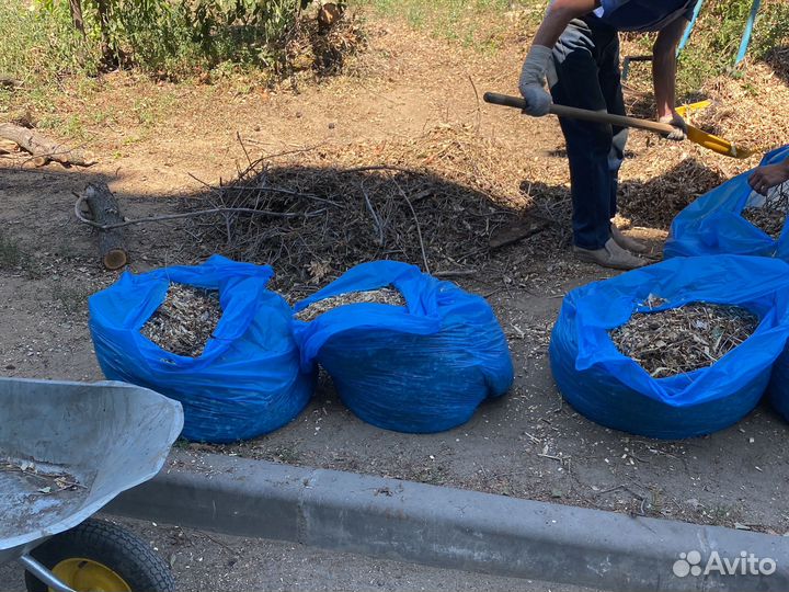 Древесная щепа, бревна