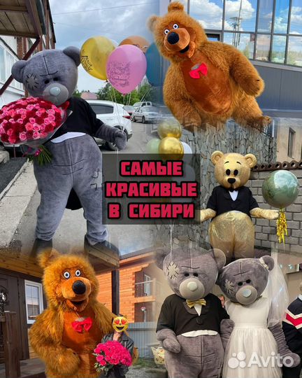 Аниматор Мишка Поздравление на любой праздник