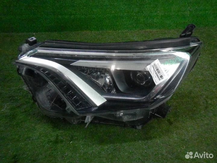 Фара левая Toyota RAV4