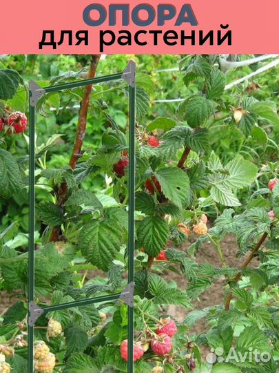Опора для растений П-образная 2000х500 мм, шпалера