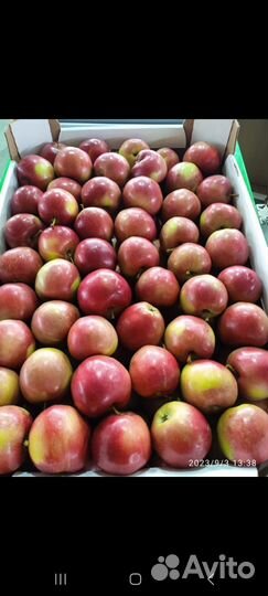 Яблоневый сад