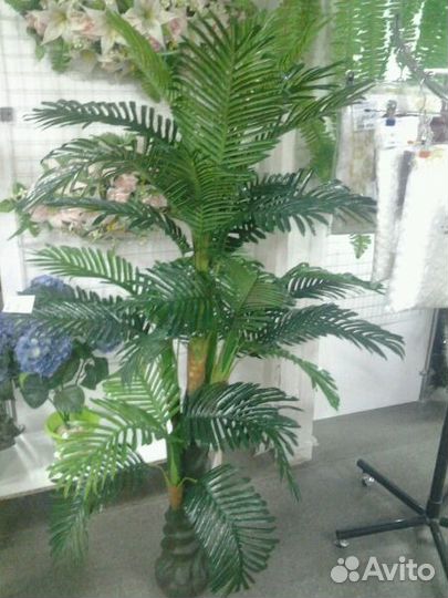 Искусственные деревья, бонсаи