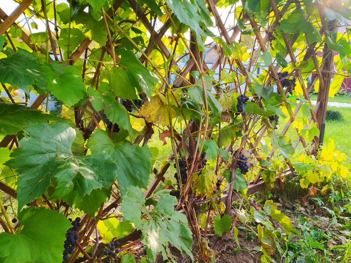 Дом 102 м² на участке 16 сот.