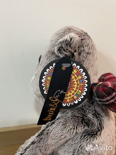 Кот Басик новый бронь