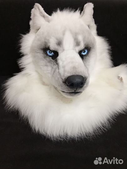 Фурсьют волка