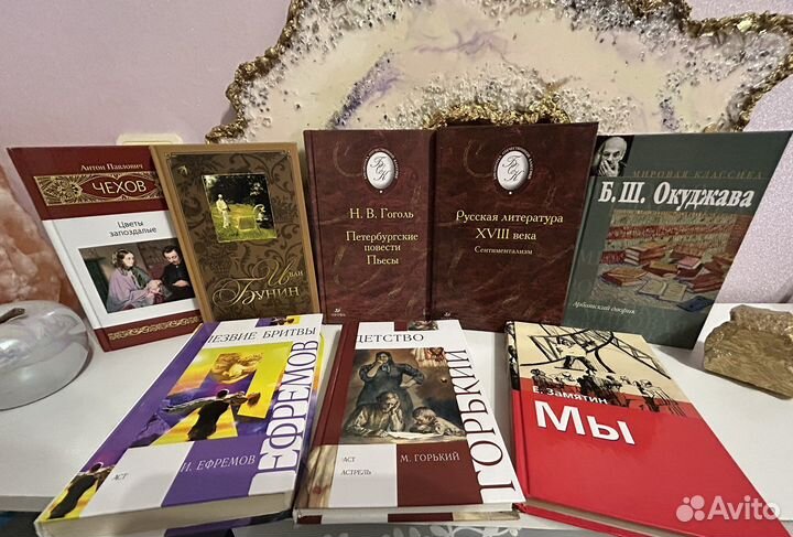 Школьная библиотека классика русской литературы