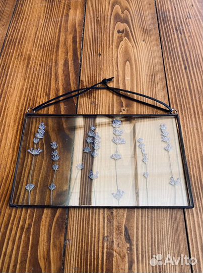 Гербарий в стекле «Лавандовый цвет»