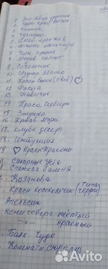 Рассада помидор и других овощей и цветов