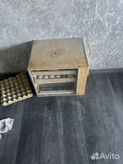 Инкубатор для яиц