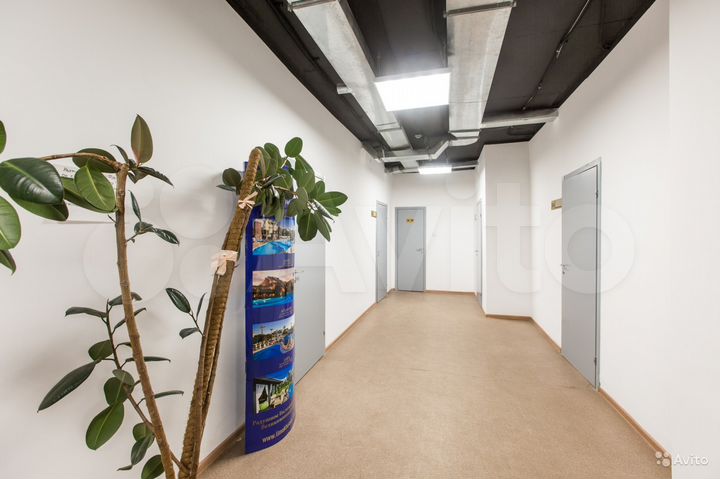 Офисное помещение, 25 м²