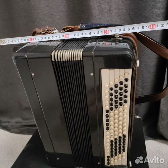 Баян тульский