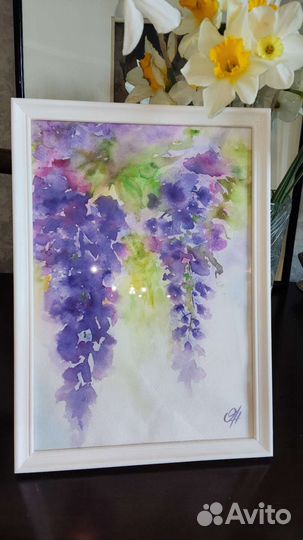 Картина акварель Цветы Глициния Розы