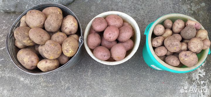 Продукты питания