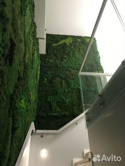 Озеленение пластовым мхом