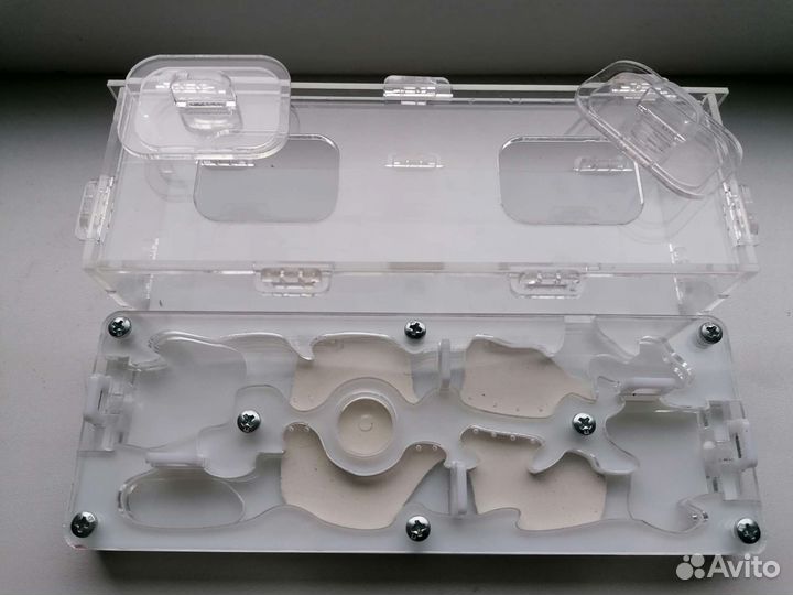 Формикарий для муравьёв ферма