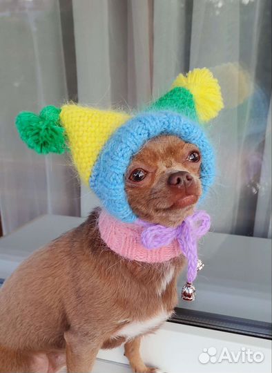 Шапочки для собак