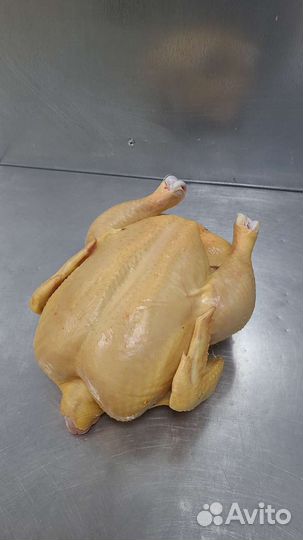 Индейка и курица