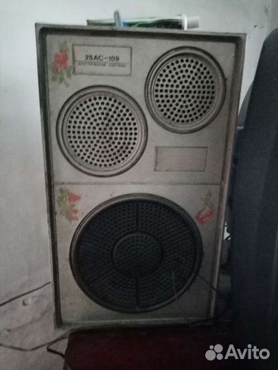 Акустика Вега