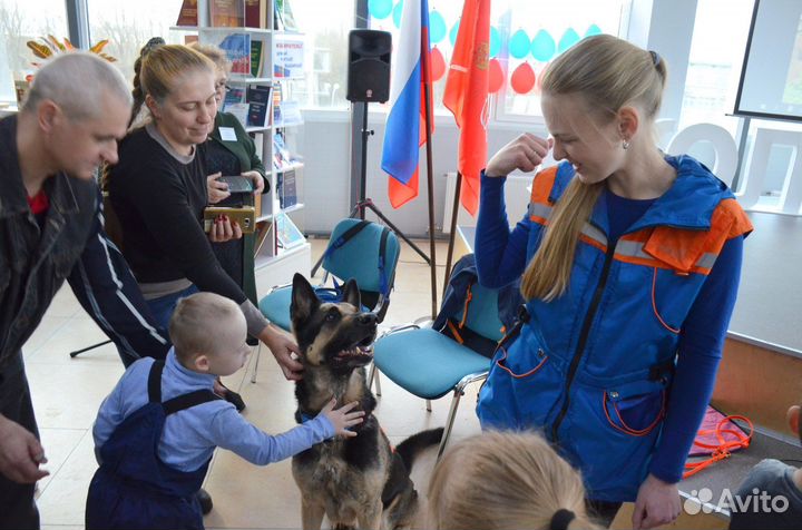 Кинолог. Дрессировка собак