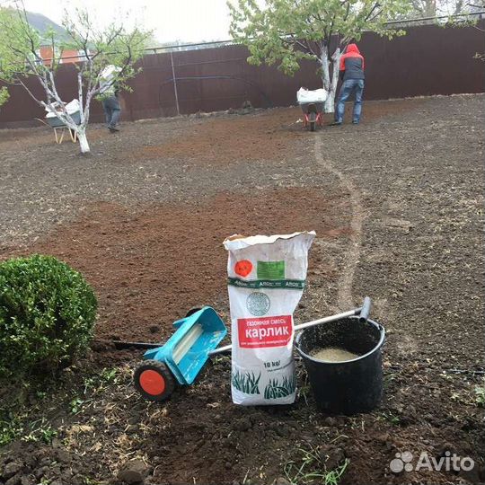 Посев газонной травы