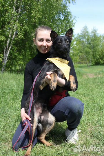 Виктор-угольный красавчик ищет дом