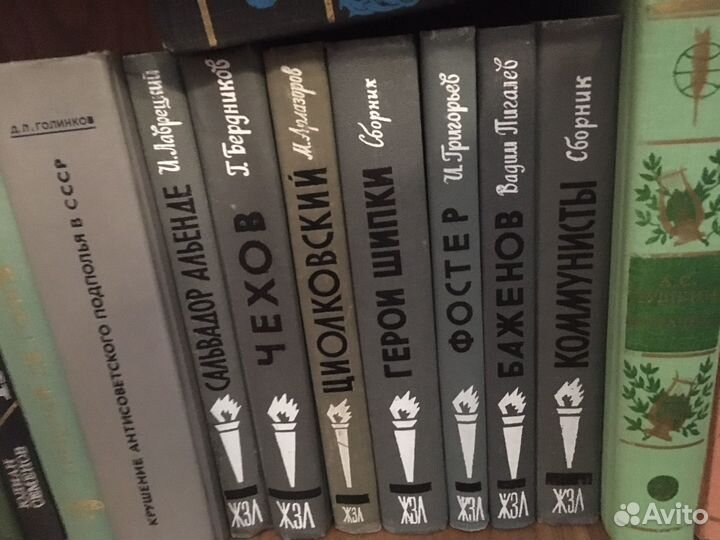 Книги из серии жзл