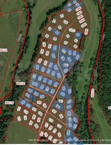 Участок 19,7 сот. (СНТ, ДНП)