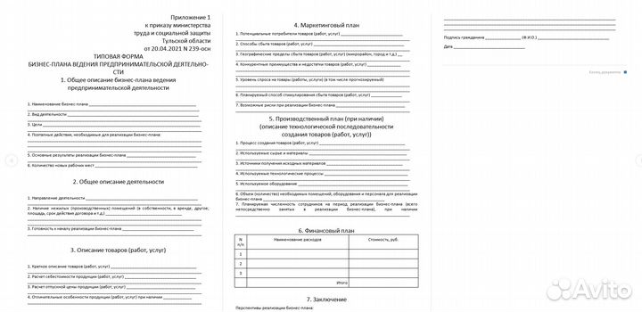 Бизнес план для социальной защиты (соцконтракт)