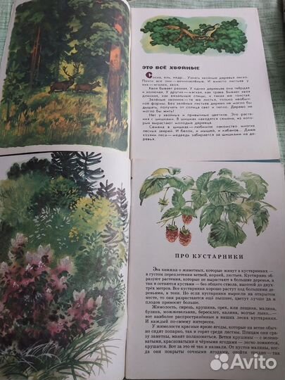 Серия книг СССР Почемучкины книжки