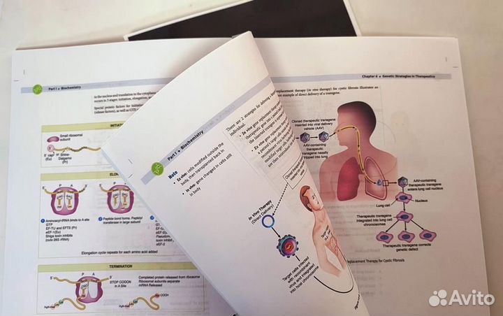 Kaplan. Biochemistry. (Lecture Notes '21)