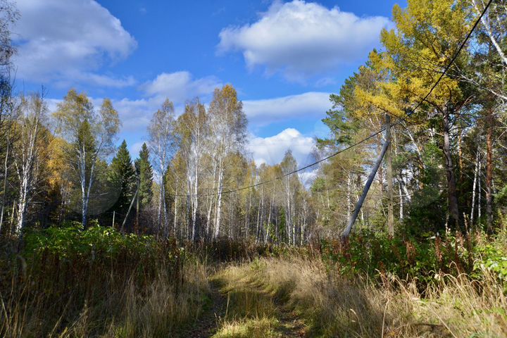 Участок 10,1 сот. (СНТ, ДНП)