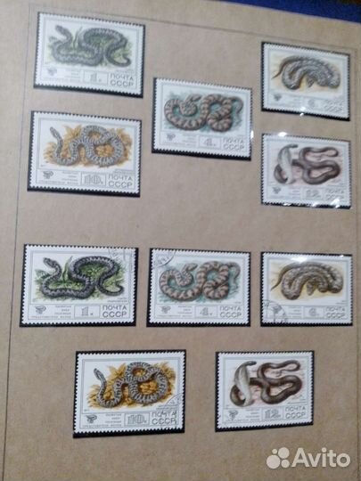 Альбом с марками СССР