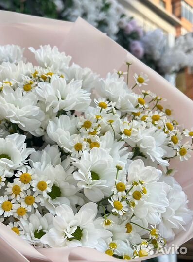 Хризантема ромашки цветы букеты