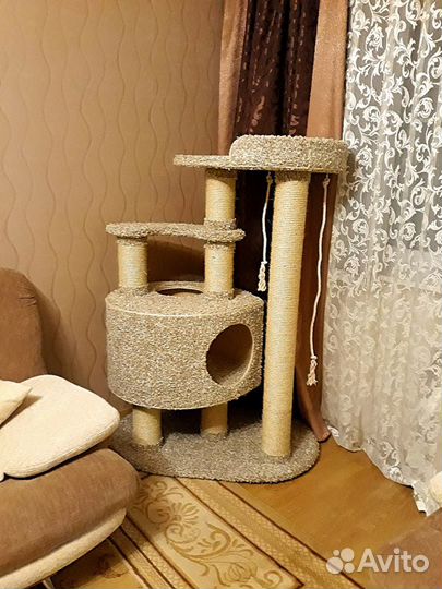 Когтеточка-комплекс для кошки