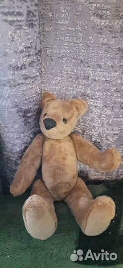 Медвежата Тэдди